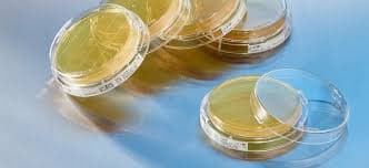 Pharmaceutical Environmental Monitoring Case Study