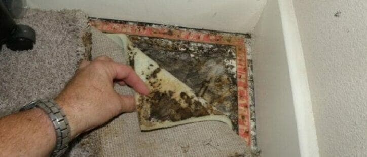 ERMI/HERTSMI Sampling Case Study