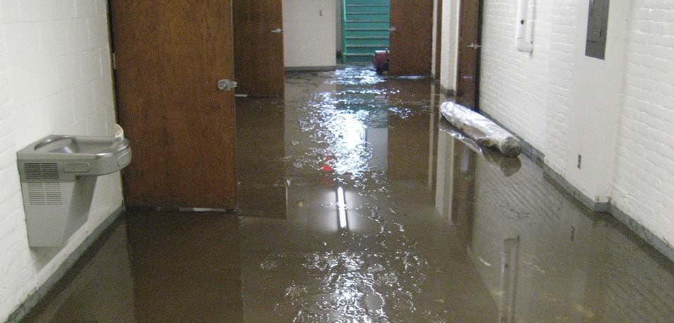 Professional Indoor Air Quality Testing