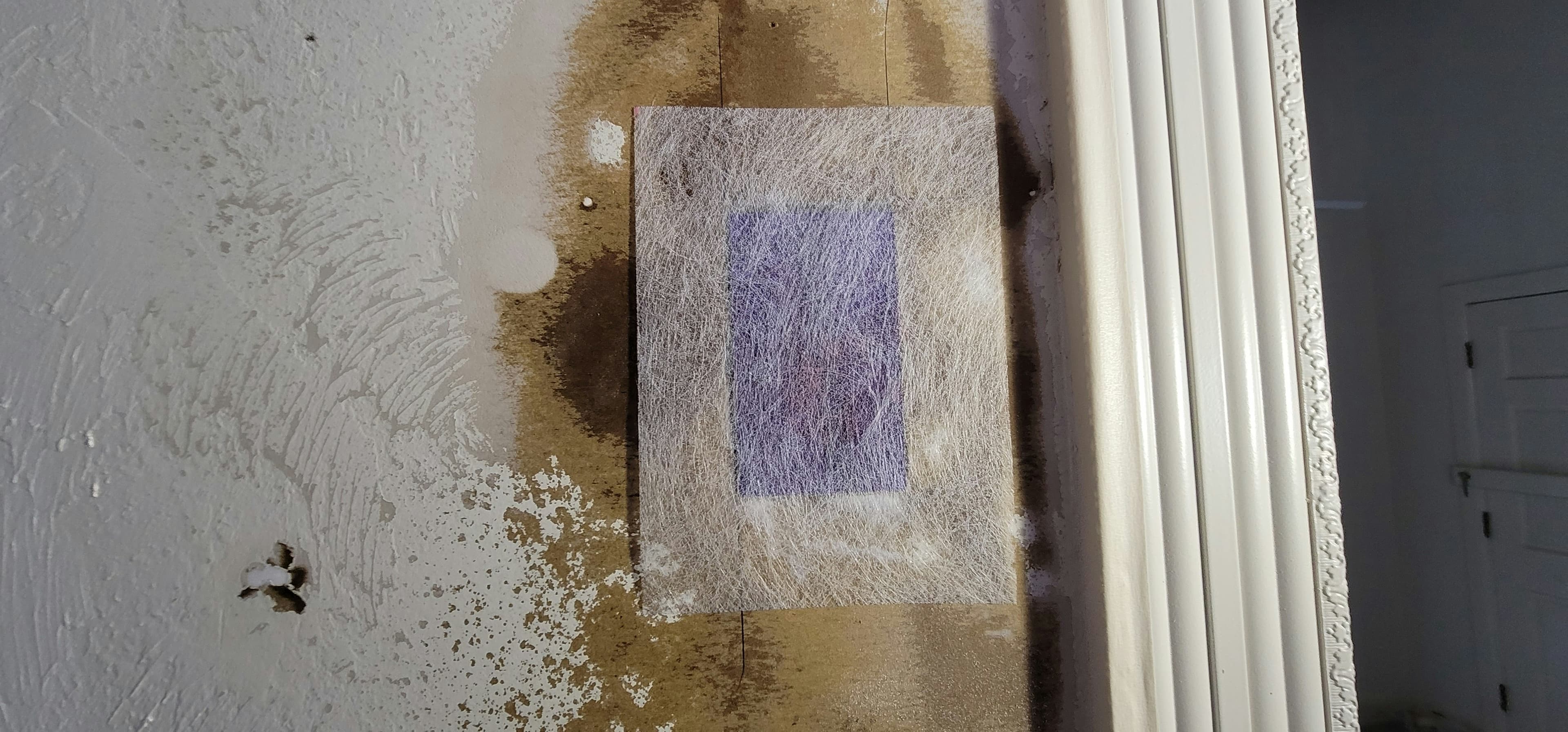 Professional Mold Testing