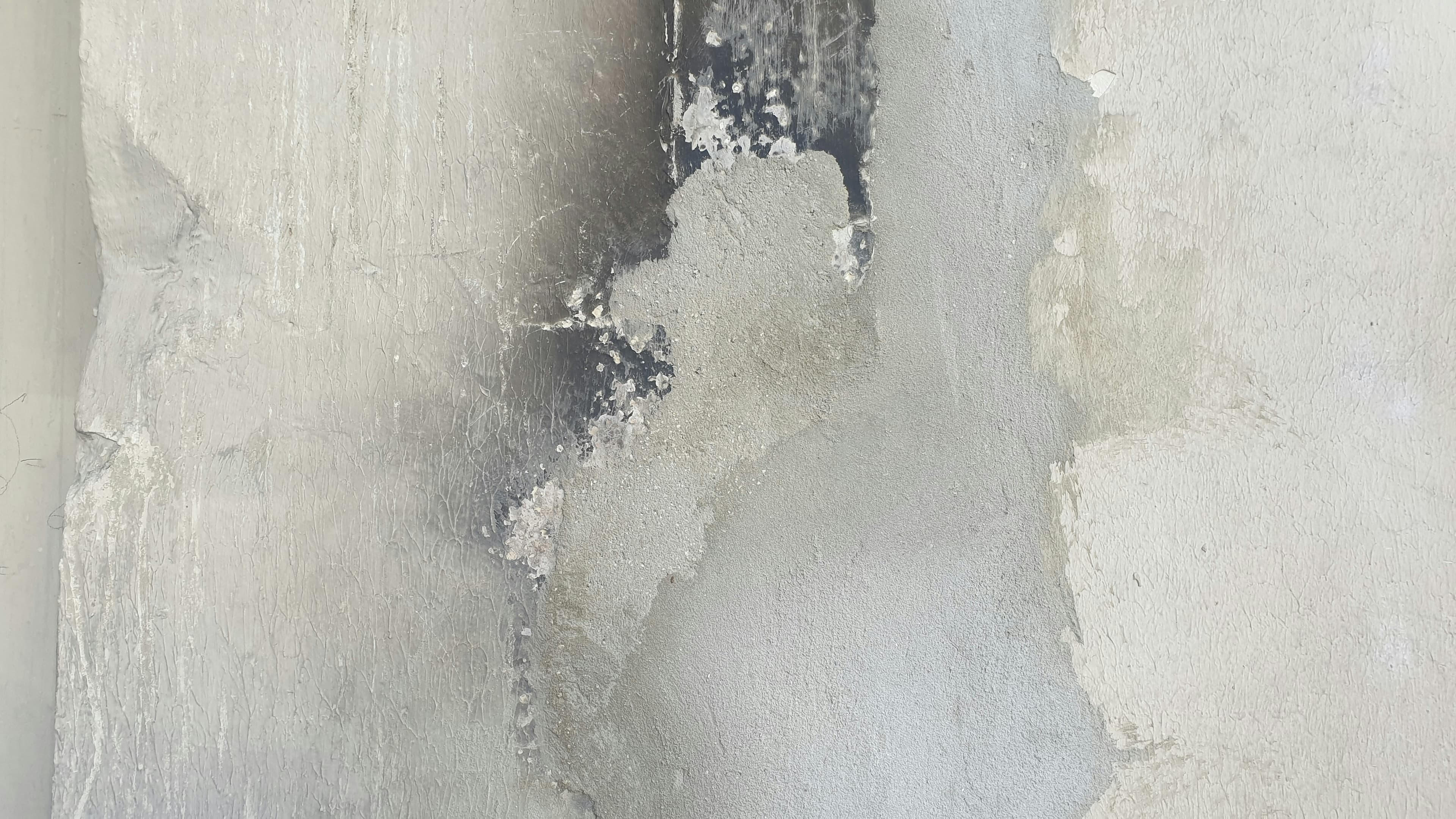 Mold Testing Case Study
